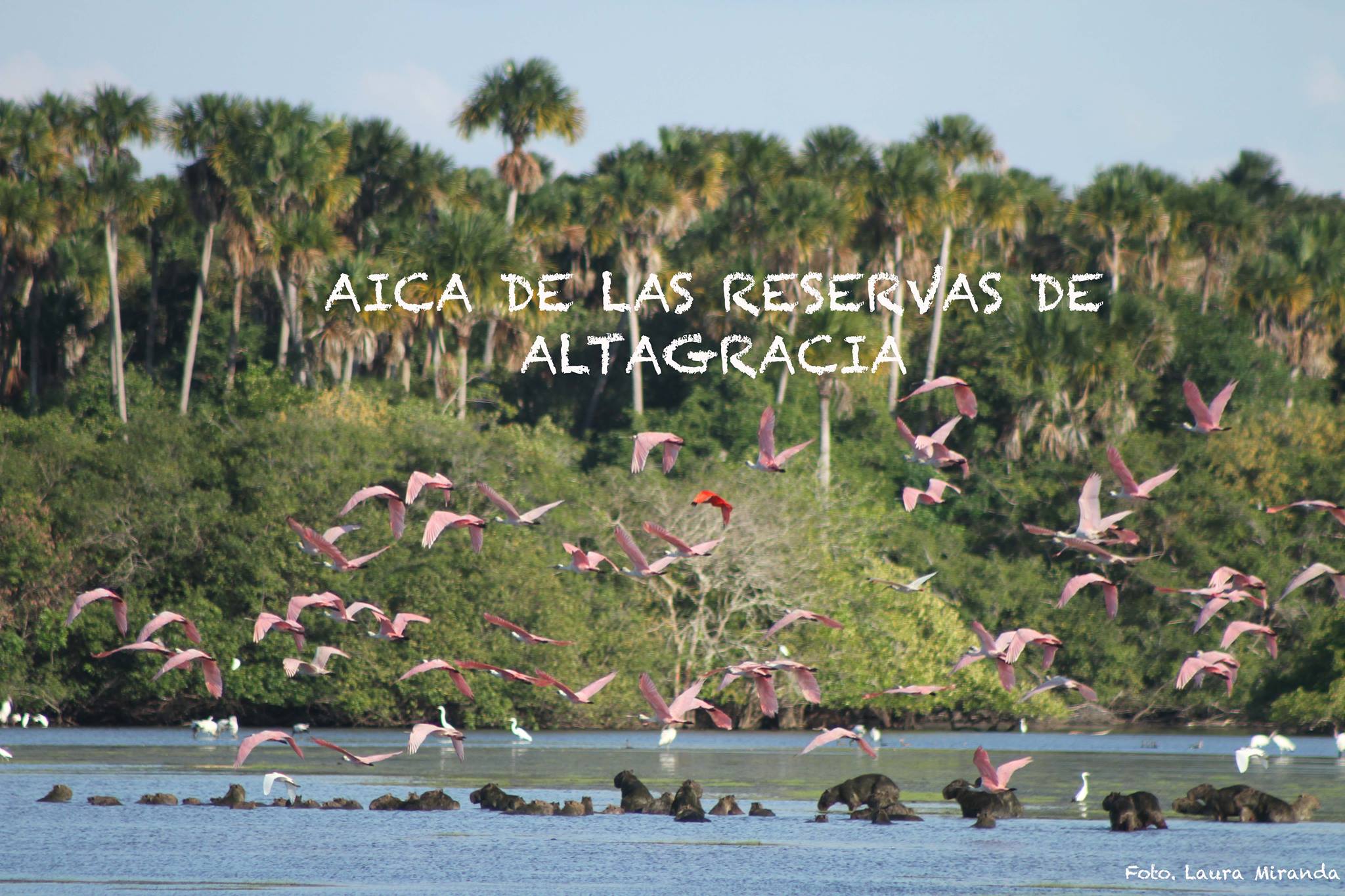 blog-image