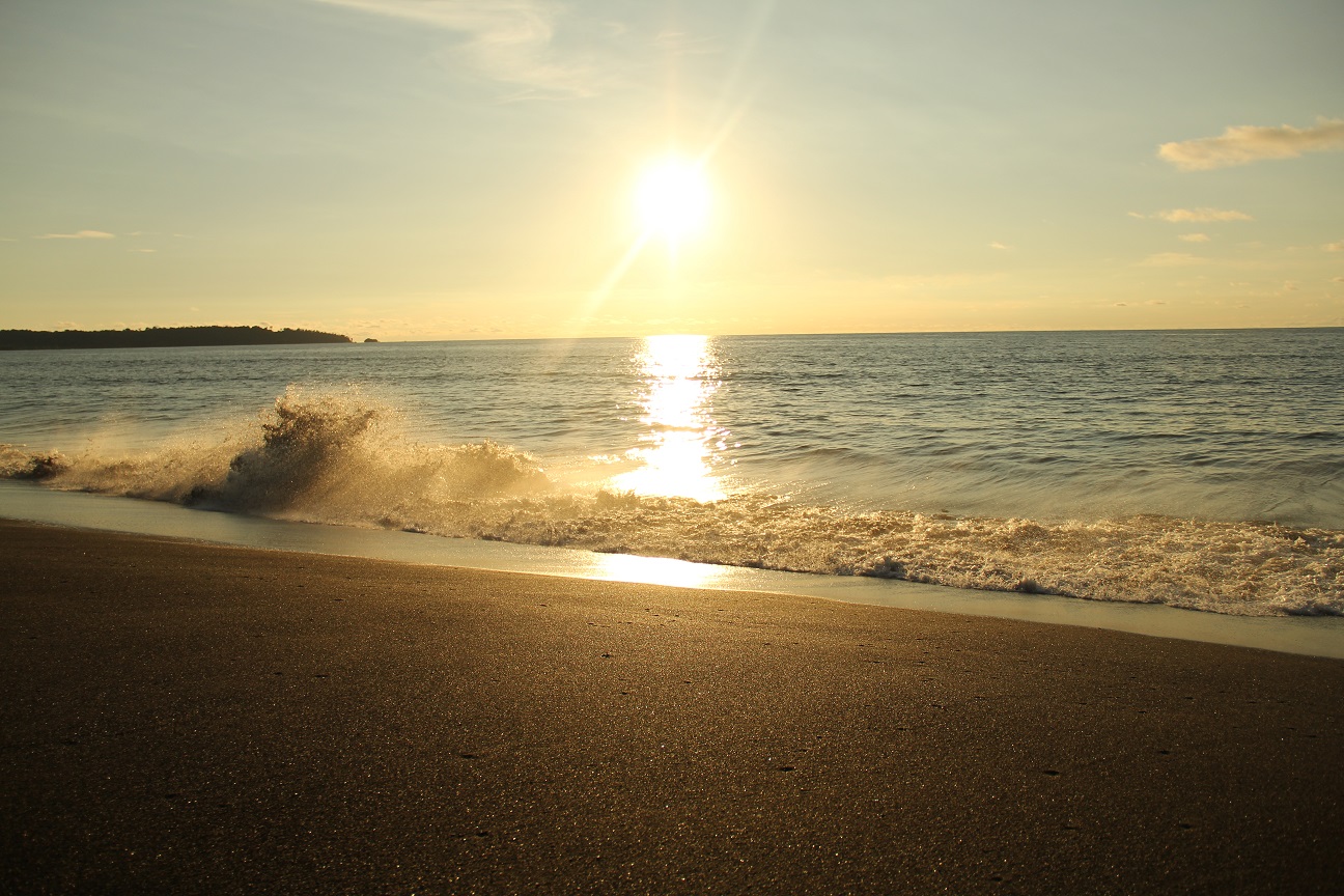 blog-image